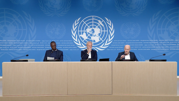 UN Geneva Press Briefing - 29 October 2024