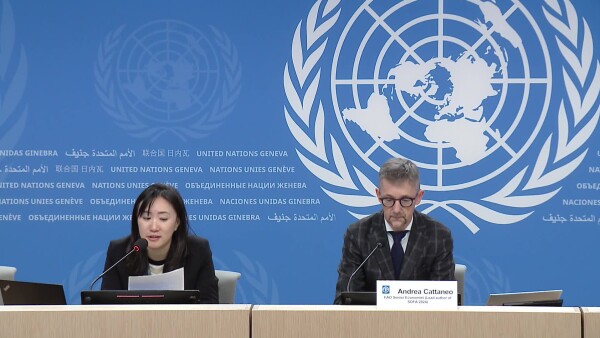 FAO Press conference - 07 November 2024