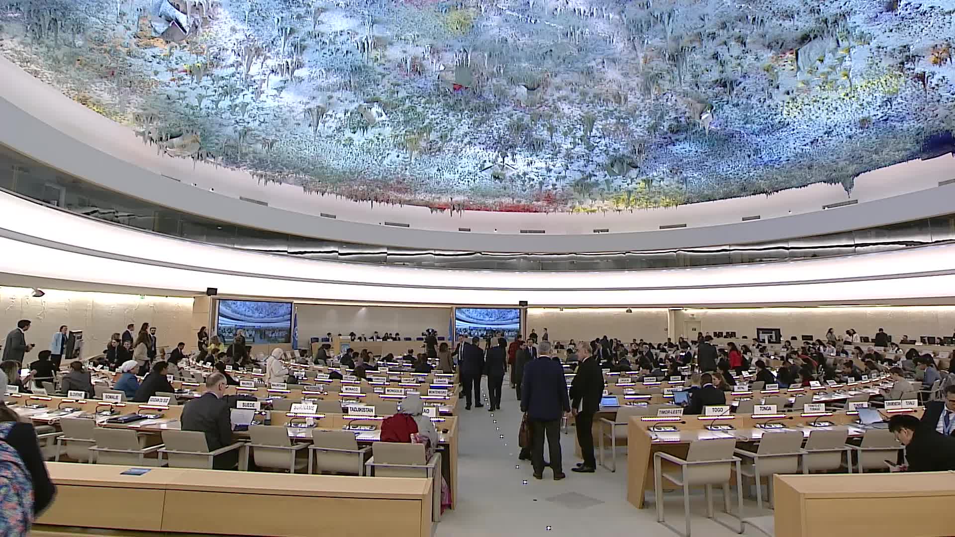 HRC58 - Human rights in the Occupied Palestinian Territory - 26 Feb 2025